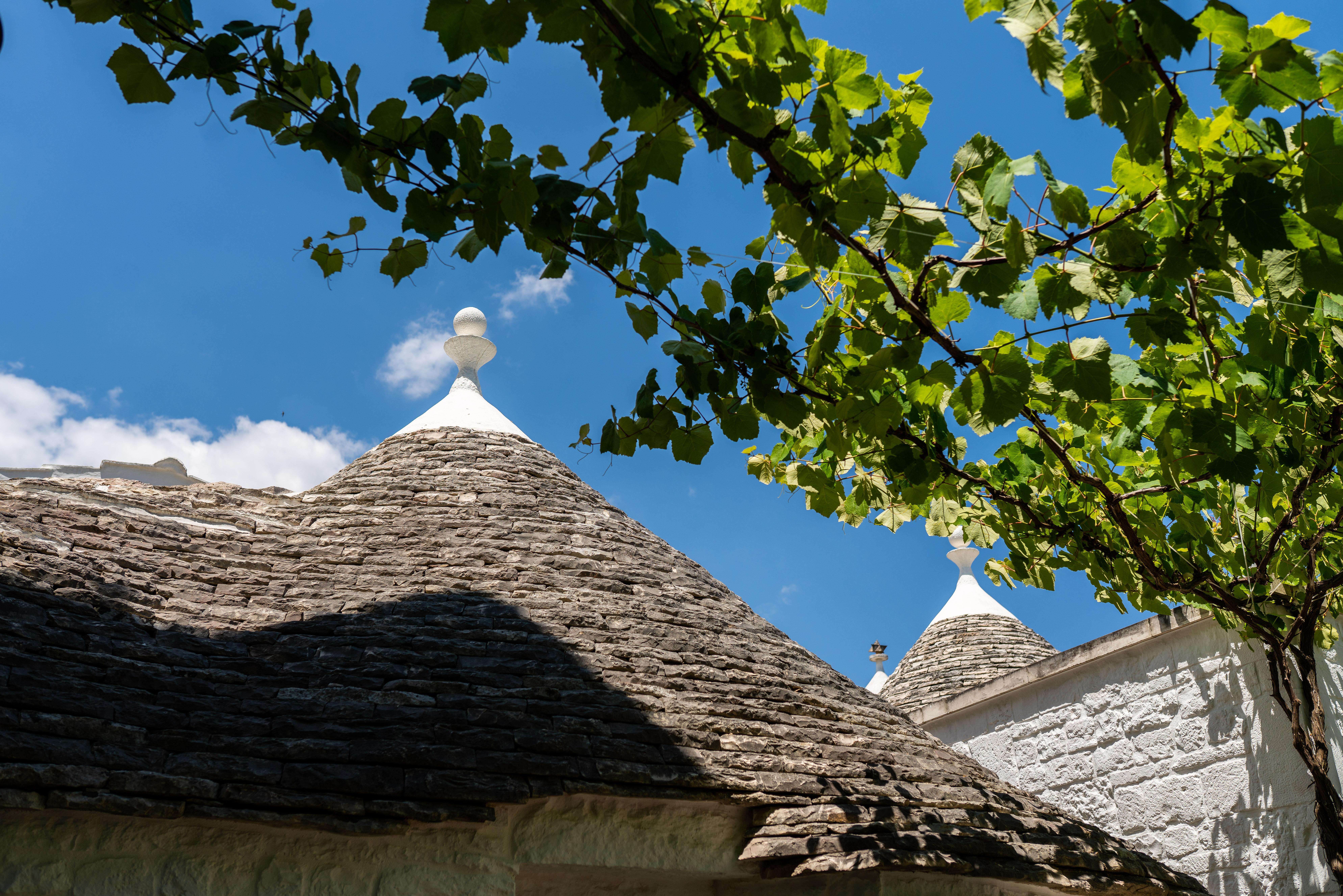 Palazzo Scotto (adults Only) 3* Alberobello